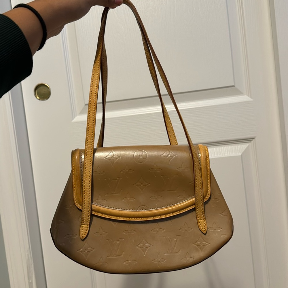 Louis Vuitton hand bag